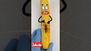 Banana operation 🤐 ytshorts youtubeshorts shorts [upl. by Icram]