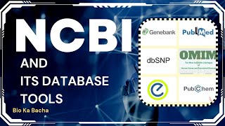 what is NCBI and its databases tools  genbank  pubchem  pubmed entrez  nucseq  peptide seq [upl. by Branscum]