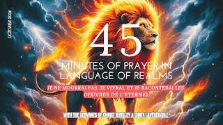 45 MINUTES OF PRAYER IN THE LANGUAGE OF REALMS [upl. by Hembree]