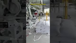 Bag palletizing robot with load of 50 kgpalletizer palletizingrobot [upl. by Mokas]