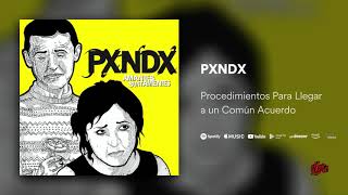 PXNDX Procedimientos Para Llegar a un Común Acuerdo [upl. by Llenrub373]