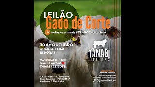 Tanabi Leilões  AO VIVO  30102024 [upl. by Montana975]