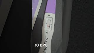 TTC 2  10 DPO  Pregnancy kit  HCG test  Faint line  14 Oct 2024  Baby Bump ttcjourney [upl. by Hanahsuar988]