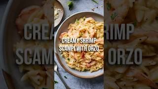 Creamy Shrimp Scampi with Orzo [upl. by Annairoc309]