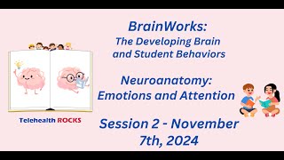 BrainWorks The Developing Brain and Student Behaviors  Session 2 [upl. by Sheppard]