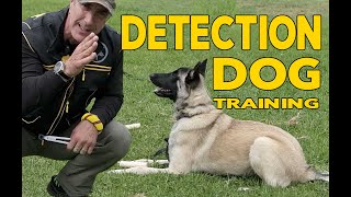 Dog Scent Detection Basics [upl. by Yeleak]