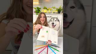 Come DECORARE il DIARIO di SCUOLA📕😯🚌 scuola tutorial cane dog diario [upl. by Okoyik]