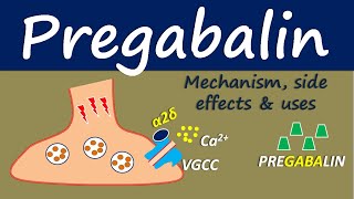 Pregabalin  Mechanism side effect and uses [upl. by Sadella]