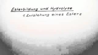 Esterbildung und Hydrolyse  Chemie  Organische Chemie [upl. by Mitman448]