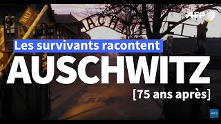 Auschwitz  les derniers survivants témoignent  AFP Rencontre [upl. by Ekusuy539]