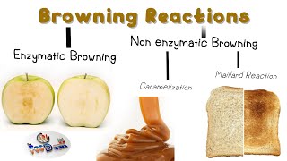 Browning Reactions in Food [upl. by Letisha]