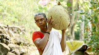 Kerala Traditional Style Jackfruit Recipe [upl. by Ydur]