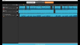 How To Easily Synchronize Audio With PluralEyes 40 On Premiere Pro [upl. by Heriberto]