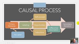 Labeling Theory [upl. by Ettelorahc514]