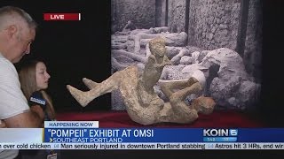 Pompeii exhibit at OMSI highlights life at Mt Vesuvius [upl. by Forrer641]