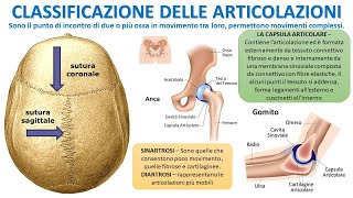 CLASSIFICAZIONE DELLE ARTICOLAZIONI [upl. by Nimocks903]