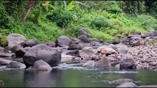 The sound of river water to sleep listen to the sound of the gurgling sound and feel peace of mind [upl. by Proffitt753]