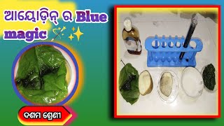 Presence of Starch in potatoLeaf rice water through Iodine test Class 10 experimentsNutrition [upl. by Kezer]