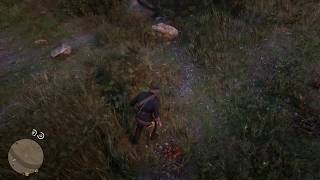 Red Dead Redemption 2 Herbalist Challenge 4 and Bay Bolete Location [upl. by Farny839]