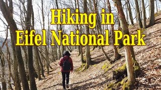 HIKING IN EIFEL NATIONAL PARK GERMANY IN SPRING 20214K  MENDAKI DI TAMAN NATIONAL EIFEL [upl. by Gib392]