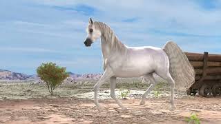 Arabian Horse Rig Animation VFX [upl. by Presber598]