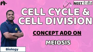 Cell Cycle and Cell Division Class 11 Biology NEET  Meiosis [upl. by Rutherford]