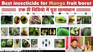 What is the best pesticide for fruit borer Mango Fruit Borer  Mango Steem Borer AnilRamanVillager [upl. by Tyika]