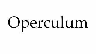 How to Pronounce Operculum [upl. by Alyahs]