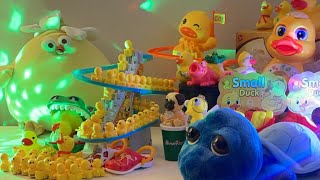 LET’S PLAY asmr asmrsounds asmrvideo satisfying toys duck cute relaxing play playtime [upl. by Llennol]