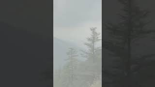 nature lovemusic travel travelingsong lovesong mountains shimla shortvideo trending viral [upl. by Shadow]