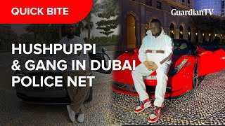 Hushpuppy The rise the crime and the Dubai arrest of Nigerias biggest online fraudstar [upl. by Aerdnad354]