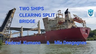 Kumano heading northbound and Desgagnes lining up for lock 3 [upl. by Arraek]