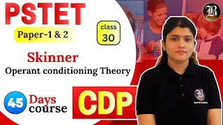 Operant Conditioning Theory Lec30  BF Skinner  CDP PSTET Paper 1 amp 2  45 Days Course [upl. by Eilah]