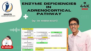 Enzyme Deficiencies In Adrenocortical Pathway CONGENITAL ADRENAL HYPERPLASIA [upl. by Darnall237]