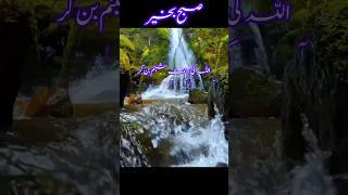 GOOD MORNING  SUBHA Bakhair WHATSAPP STATUS  SUBHA BAKHAIR  Islamic GOOD MORNING WHATSAPP STATUS [upl. by Mika]