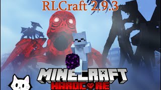 RLCraft 293 Epic Journey 150 Days in One Full Movie [upl. by Enaitsirhc]