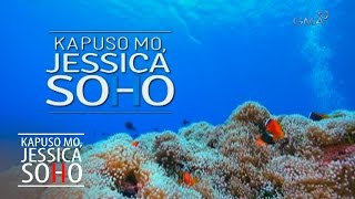 Kapuso Mo Jessica Soho Finding Nemo or Dory [upl. by Ayna]