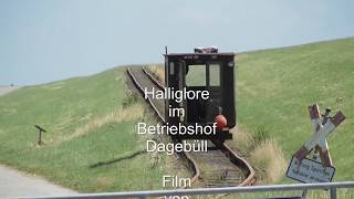 Inselbahn Schmalspurbahn Dagebüll Oland Langeneß Halliglore Lore 10 [upl. by Laoj]