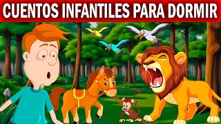 Cuentos Infantiles Para Dormir Cortos Noches de Ensueño [upl. by Katy]