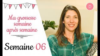 6ème semaine de grossesse – L’alimentation [upl. by Auliffe973]