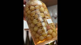 Muscat maceration day 25 [upl. by Gaughan]