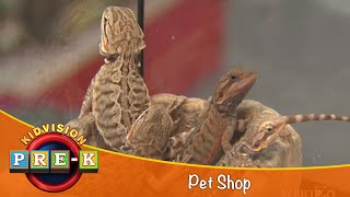 Pet Shop  Virtual Field Trip  KidVision PreK [upl. by Gautious]