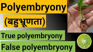 polyembryony ।। बहुभ्रूणता ।। types of polyembryony [upl. by Itsirk387]