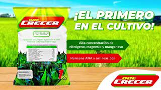 ONE CRECER  Aplicación y beneficio en cultivos de arroz [upl. by Eilra630]