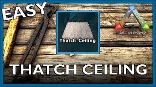 How To Craft A Thatch Ceiling In Ark Survival Evolved [upl. by Kaczer]