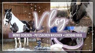 Scheren Putzsachen waschen Loesdau Haul ♡ VLOG  AampG HorseDiary [upl. by Donough]