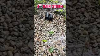 Transforming a Swampy Yard with an Outdoor Sump Pump System [upl. by Lainahtan929]