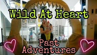 Meet the HowlandsA Look Back At Past Adventures [upl. by Bandur856]