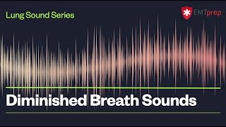 Diminished Breath Sounds  EMTprepcom [upl. by Annmarie247]