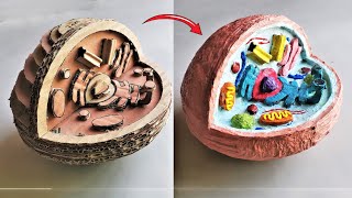 Cardboard Animal Cell Model DIY [upl. by Scales]